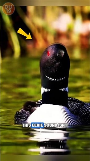 You Won’t Believe This Haunting Sound Comes From a Bird!