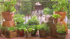 267K views · 1.4K reactions | Create a beautiful balcony masterpiece...