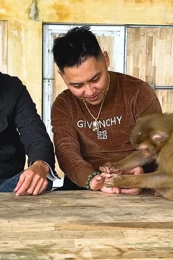 7.9K views · 306 reactions | Monkey Kaka's loving actions towards her father surprised him. Part 10 | Macaque Video | Facebook