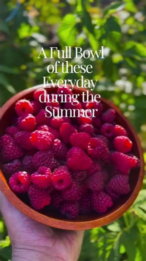 Tips for Growing Raspberries
