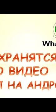 Где хранятся файлы ватсап на андроиде