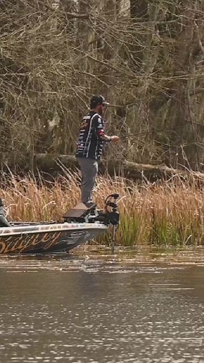 7.1K views · 105 reactions | Big Bite Baits Fishing Lures Drew Cook Fishing and Drew Benton Fishing showing us how it’s doing be on Lake Seminole in the latest episode of The Cut Line! #bigbitebaits | Big Bite Baits Fishing Lures | Facebook