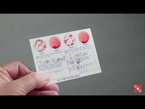 How to use an Eldoncard Blood Type Test