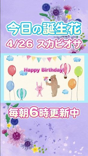 今日の誕生花と癒しのメッセージ🌸 #誕生日おめでとう #4月26日 #スカビオサ