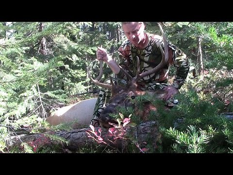 Elk hunt eastern Oregon 2025