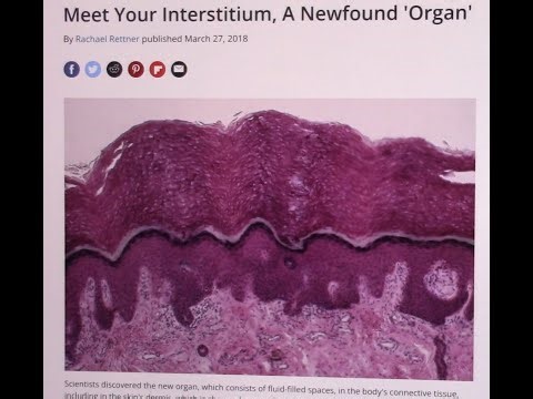 The New Human Organ Called Interstitium ... Discovered in 2018 and its Link to the Immune System