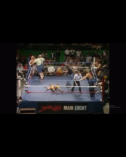 wwf saturday night main event 1986 #shorts #wrestling #wrestlingcommunity #wwf #prowrestling