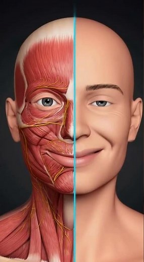 Facial Nerve Damage Explained | Sudden One-Sided Facial Paralysis & Bell’s Palsy