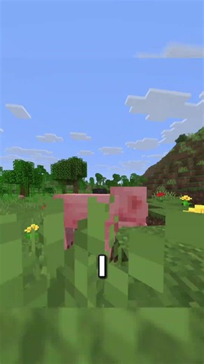 a minecraft bug mojang REFUSE to fix... #minecraft #shorts