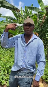 29K views · 3.2K reactions | BIR prank went wrong CAMTEL (Cameroon Telecommunications) Blue by Camtel | GrandLawrenzo | Facebook