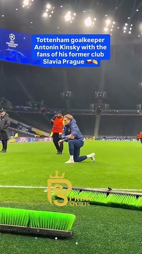 Tottenham Hotspur Goalkeeper #football #realmadrid #music #soccer #rap #newmusic #premierleague