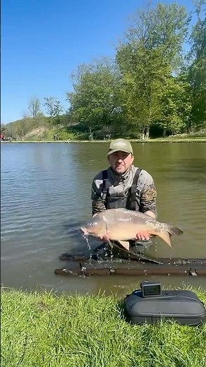 Insane Carp Fight Ends Like This?! #carpfishing #karpfenangeln #fishing #carp #angeln #bigcarp