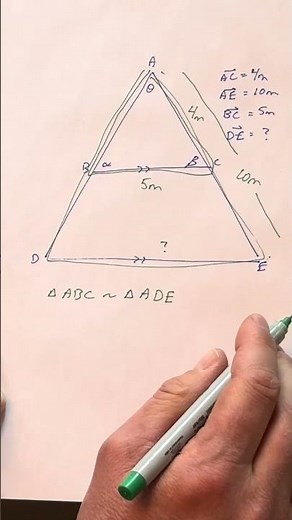 Use similar triangles to find the missing length #trigonometry #maths #stem