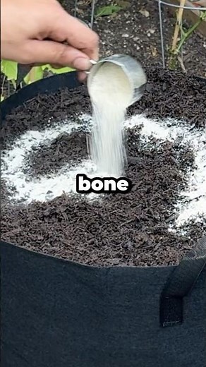 When Should You Use Bone Meal in the Garden? #shorts