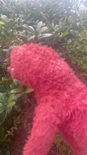 elmo world easter imagination