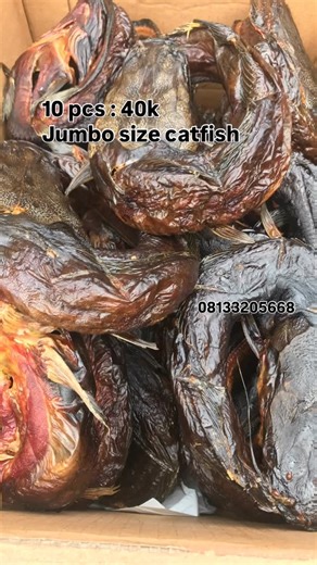 foodstuffs vendor in Lagos|dried protein boss|food exporter on Instagram: "@just_ponmo is the perfect Foodstuffs plug that process package and ship Nigerian 🇳🇬 foodstuffs to buyers in Lagos, any states in Nigeria, UK, USA, Canada or anywhere in the world. For quality oven dried catfish, oven dried goat meat, ram, ponmoijebu,Fresh ugba, palm oil, bonga fish, stockfish, prawns, crayfish, dried vegetables and lots more foodstuffs LIST OF FOODSTUFFS: PROTEINS:- oven dried goat meat, oven dried ram