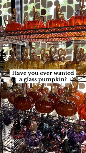 48K views · 207 reactions |  Pumpkinpalooza is back, and it’s just one of the many creative experiences happening in Downtown Norfolk this fall. From pumpkin-inspired fun to live glassblowing at the Perry Glass Studio, there’s plenty of inspiration to explore. ✨ See more arts & creative activities on our blog: https://www.downtownnorfolk.org/feature/arts-and-creative-classes-in-downtown-norfolk | Downtown Norfolk | Facebook
