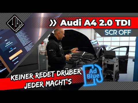 Keiner redet drüber. Alle machen's. AdBlue Probleme | SCR OFF | mcchip-dkr