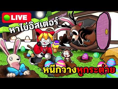 ตามหาไข่อิสเตอร์ กระต่ายบุกโลก99วันแล้ว