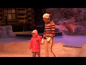 Mickey's Winter Wonderland