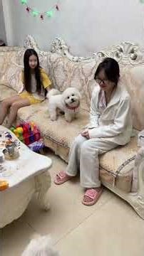 Secrets of Cooking Masterclass: Learn Fast, Master Easy