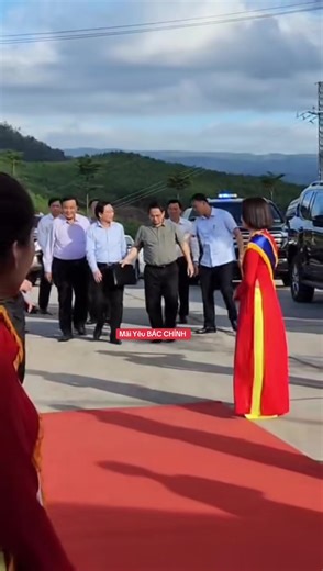 Bác Gấu Đáng Yêu và Tình Yêu Bác Chính