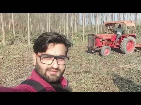 Aaj Khet Mein Shoot Kara😁 #dailyvlog #vloglife #jaigurudevindustries