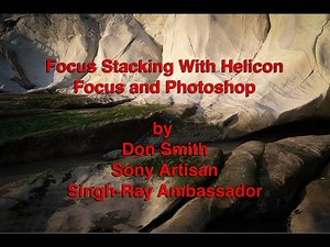 Focus Stacking With Helicon Focus and Photoshop 2023