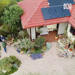 Take a peek inside the spectacular home garden of a passionate native plant collector | Gardening Australia