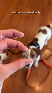 Zesty Paws Probiotic Dental Powder for Dogs Teeth - Fights Plaque, Tartar & Bad Dog Breath - Dog Breath Freshener Powder for Oral Microbiome & Gut Health - Pet Supplement for Teeth & Gums