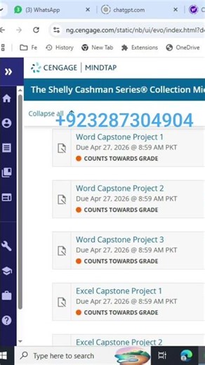 Excel Capstone Project 1