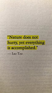 A tree never rushes, yet it grows. You, too, can trust the pace of your becoming. | Bookgains
