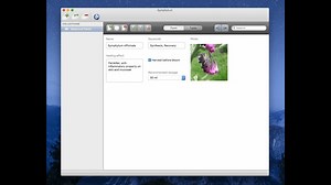 Symphytum Database Download For Mac