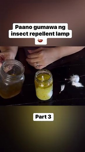 INSECT REPELLENT #Plants #Garden #Gardening #HousePlants #PinoyPlantito #cactus #succulents #houseplants #caretips #propagations #indoorplants #trending #Plantito #Garden | Mark of the Jungle Plants