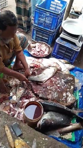 ANIS FISH CUTTING PRO | বড় মাছ কাটিং শো 🐟 #Shorts #FishCutting #FreshFish #BD #food #freshfish
