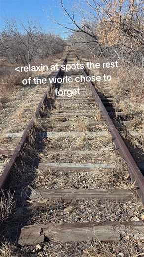 Cars are cool (@cars_are_cool1001)’s videos with Cycad Slumber - Desmond Cheese