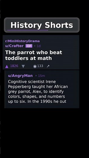The parrot who beat toddlers at math #animalintelligence