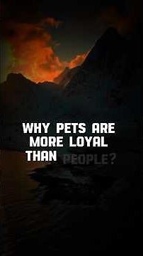 Why pets are more loyal than people? (people psychology)
