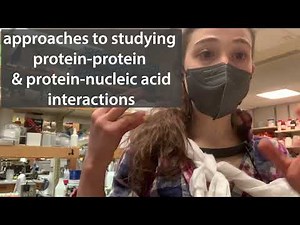 Biochemical approaches to studying protein-protein & protein-nucleic acid interactions