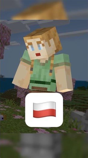 New Polish Minecraft Default Skin #minecraftshorts #minecrafttiktok #minecrafter #minecrafts