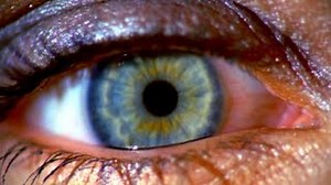 PORCELAIN Lyrics - MOBY | eLyrics.net