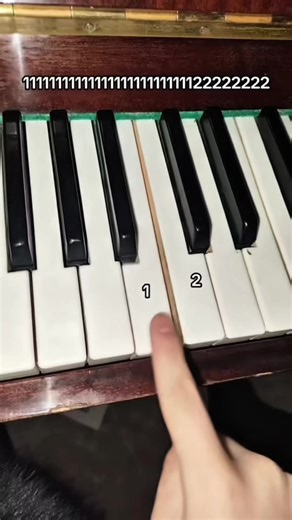 #meme#funny#piano#pianotok#violin | piano