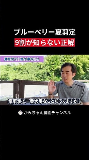 ブルーベリー栽培夏剪定｜9割が知らない正解 #ブルーベリー養液栽培 #園芸