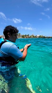 7.3K views · 131 reactions | ¿Quieres vivir momentos únicos? Ven a Isla Mujeres y disfruta de un encuentrocercano con Delfines en Dolphin Discovery. ¡Reserva ahora!  https://bit.ly/FB_Promo_DD Want to experience something unique? Come to Isla Mujeres and enjoy a close encounter with Dolphins at Dolphin Discovery. Book now!  https://bit.ly/FB_Deals_DD #NadoconDelfines #Delfines #IslaMujeres | Dolphin Discovery | Facebook