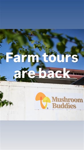 Mushroom Buddies SG on Instagram: "Our first farm tour of the year was full of energy! 🌱 This fun group of participants each harvested a log of mushrooms, trimmed them, took them home, helped with composting in our Ridan hot composter, and got a taste of our fresh mushroom products, serving them up straight from the farm! 🍄💛 Hands-on, heart-filled, and full of smiles! #mushroombuddiessg #inclusivework #specialneedswork #sustainablefarmingsg #mushroomfarm"