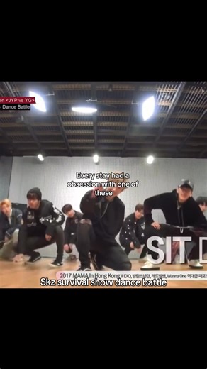 Stray Kids Fandom Obsessions: Part 2