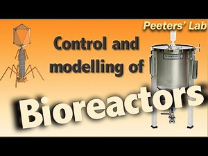 Control and modelling of bioreactors and biological processes