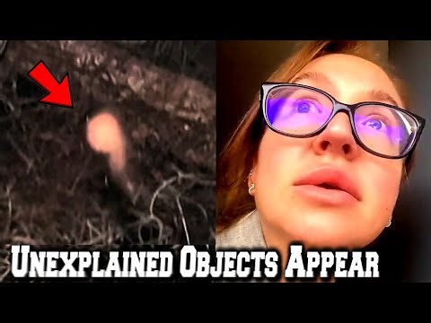 Unusual Neighborhood Activity Captured Across U.S.