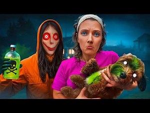 CREEPY STRANGER tried to KILL my DOG!!