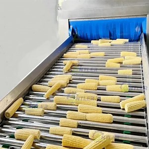 [Hot Item] Automatic IQF Frozen Freezing Sweet Corn Kernel Processing Making Machine